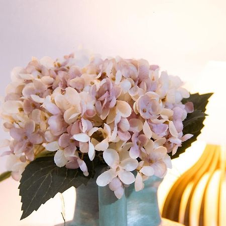 Pouso Primavera Tiradentes Luaran gambar