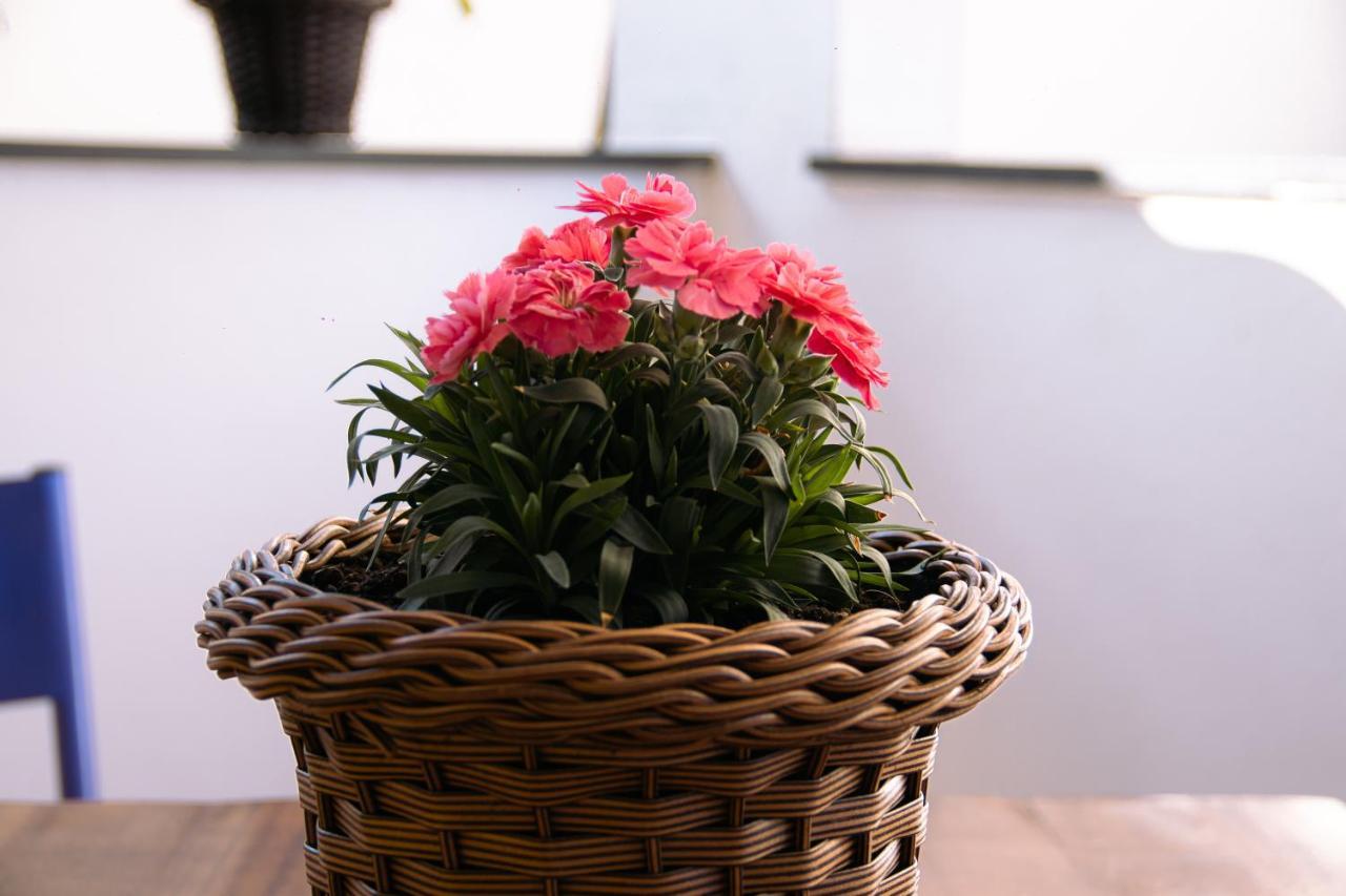 Pouso Primavera Tiradentes Luaran gambar